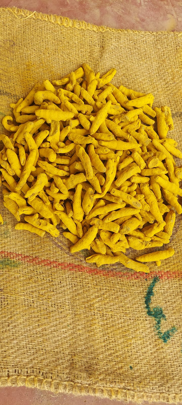 WhatsApp Image 2025-06-27 at 12.26.58 PM.jpeg